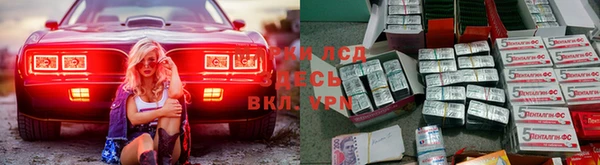 ешки Новокубанск