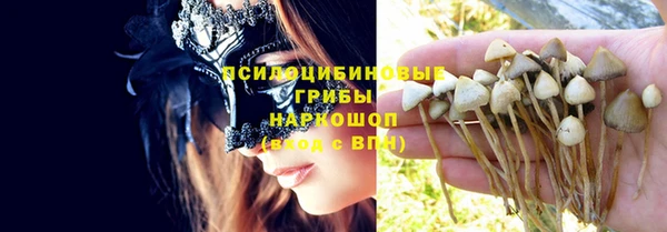 ешки Новокубанск