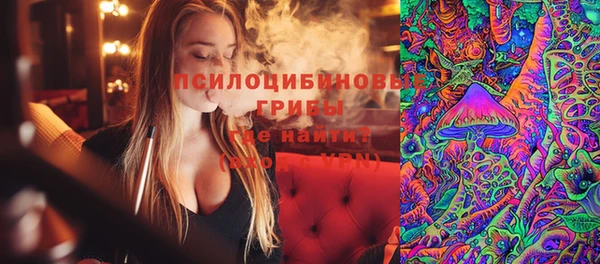 ешки Новокубанск