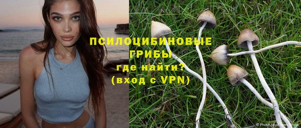 ешки Новокубанск